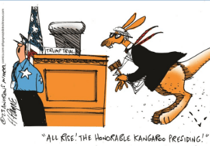 kangaroo judge for a kangaroo court