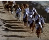 several knights riding