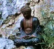 buddha statue
