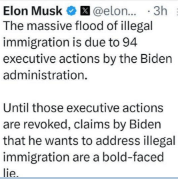 elon on illegal immigration