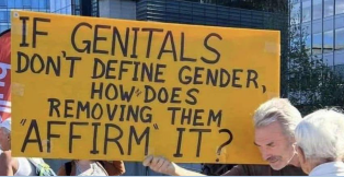 if genitals dont