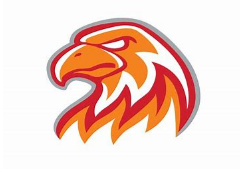 university of tennessee southern firehawks