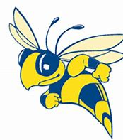 cedarville yellow jackets