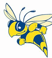 cedarville yellow jackets