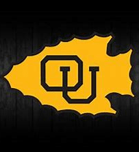 ottawa ks braves logo