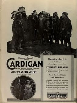 cardigan movie poster