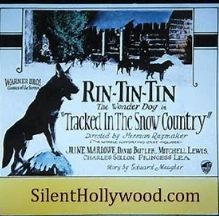 tracked in the snow country pic