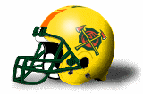 arizona hotshots