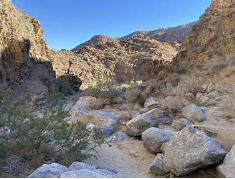 carrizo canyon