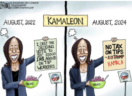 kamala taxing tips