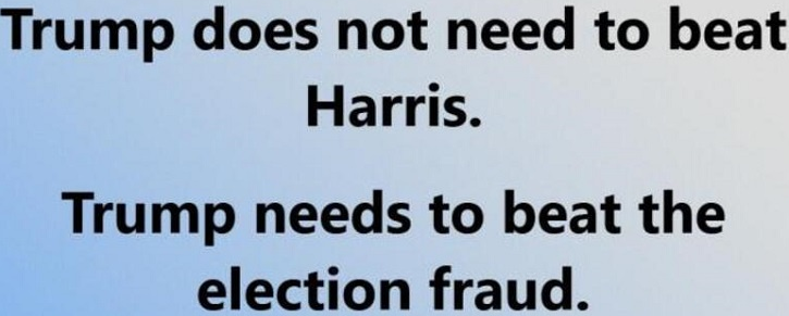 beat the election fraud