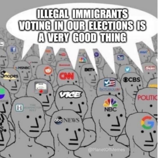 illegal immigrants voting