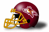 alvernia university golden wolves