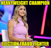 election fraud fighter