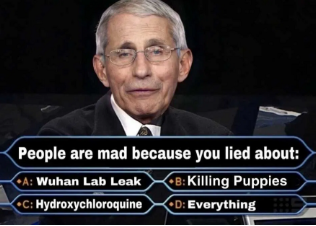 fauci lies